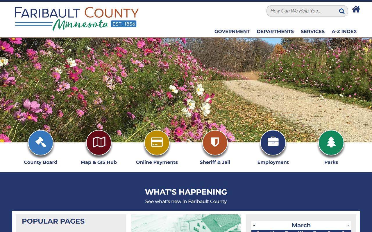 Faribault County website for dissolution of marriage court access